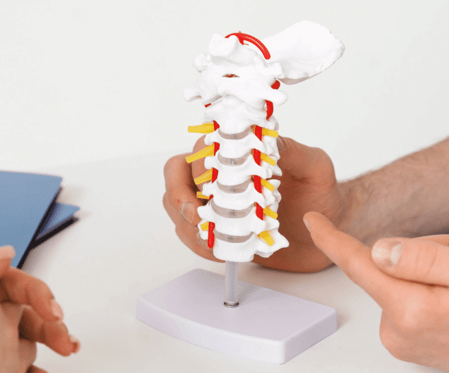 Dr. Rrohan Explains Neck surgery by pointing to a model of the neck vertebrae, explaining the procedure to a patient in Jacksonville Florida